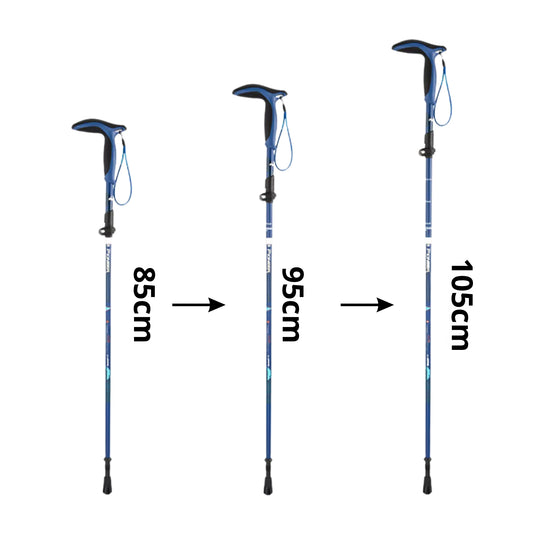Hiking pole